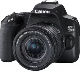 Ремонт Canon EOS 250D EF-S 18-55 IS STM Kit Black